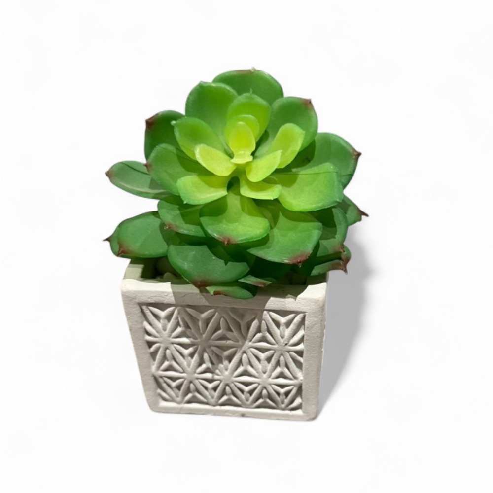 Faux Succulent in White Ceramic Planter